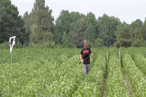 The Impact of Farmers in Waxhaw, North Carolina on the Local Community
