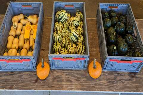 Sustainable Agriculture Practices by Farmers in Waxhaw, North Carolina