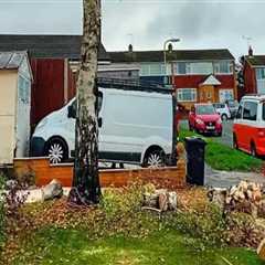 Enhancing Property Aesthetics Through Effective Tree Management