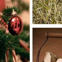 Innovative Ways to Recycle and Repurpose Trees from Tree Management