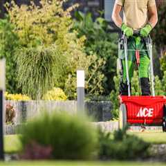 The Essential Role of Lawn Fertilization in Maintaining a Healthy Yard