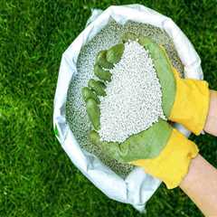 Key Considerations for Choosing the Right Lawn Fertilizer