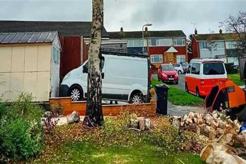 Enhancing Property Aesthetics Through Effective Tree Management