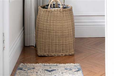 Top Low Light Indoor Plants That Are Easy to Care For