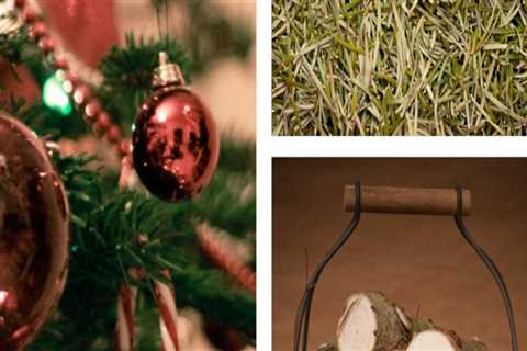 Innovative Ways to Recycle and Repurpose Trees from Tree Management