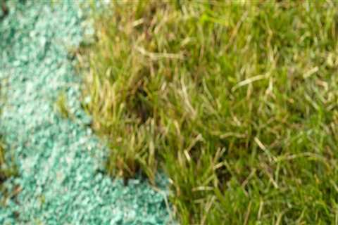 Using Natural and Organic Fertilizers for a Healthy Lawn