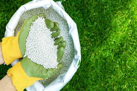 Understanding the Impact of Climate and Weather on Lawn Fertilization Timing and Frequency