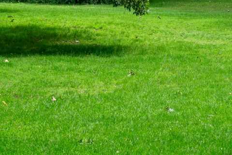 The Optimal Timing for Lawn Fertilization: A Seasonal Guide