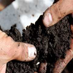 Understanding Soil Fertility and Its Improvement Techniques
