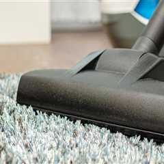 Indoor Plant Care at Home: Why Rug Carpet Cleaning in Eugene, OR Matters More Than You Think