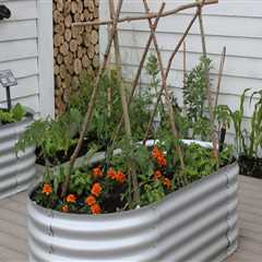 Effective Strategies for Preventing Overwatering in Your Garden