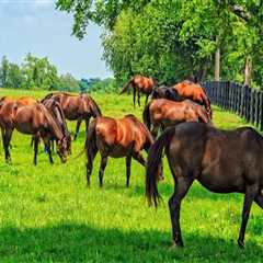 Effective Strategies for Managing Pests and Parasites in Pastures