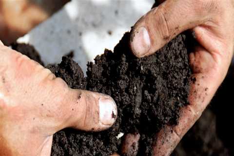 Understanding Soil Fertility and Its Improvement Techniques