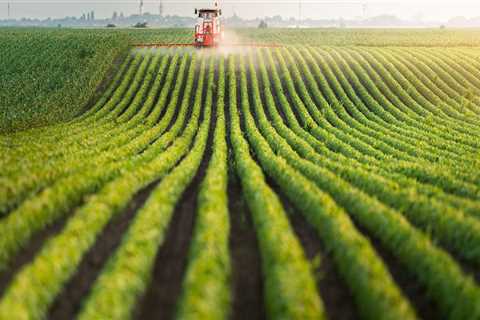 Understanding the Effects of Monoculture on Soil Fertility and Improvement Strategies