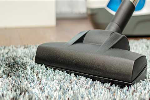 Indoor Plant Care at Home: Why Rug Carpet Cleaning in Eugene, OR Matters More Than You Think