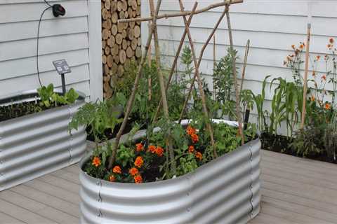 Effective Strategies for Preventing Overwatering in Your Garden