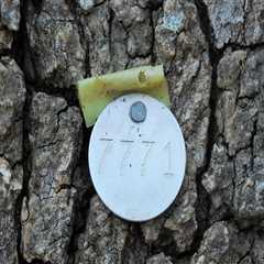 Enhance Your Brand with Professional Digital Services