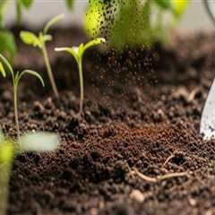 Boost Soil Fertility with Expert Tips from Portland's Top Garden Center