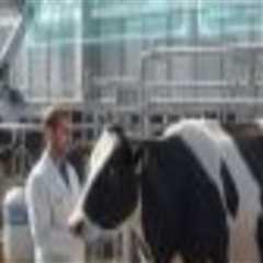 Exploring the Differences in Animal Breeding Practices: Small-Scale vs. Large-Scale Operations