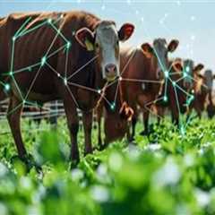 Enhancing Breeding Programs Through Data Tracking and Analysis