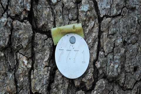 Enhance Your Brand with Professional Digital Services