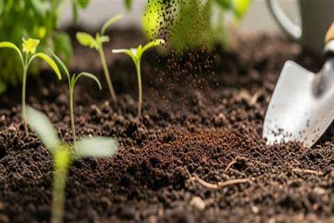 Boost Soil Fertility with Expert Tips from Portland's Top Garden Center