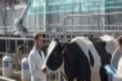 Exploring the Differences in Animal Breeding Practices: Small-Scale vs. Large-Scale Operations