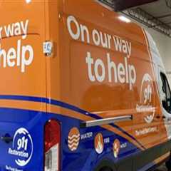Elevate Your Brand with Choice Wraps' Fleet Wraps in Edmonton