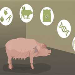 Understanding the Impact of Government Regulations on Animal Husbandry Practices