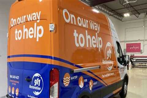 Elevate Your Brand with Choice Wraps' Fleet Wraps in Edmonton